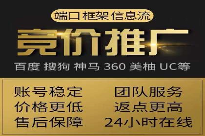 竞价广告的创意与执行：某快消品的营销突破