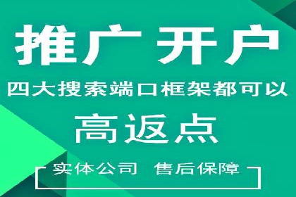 知名SEM运营公司实战案例解析